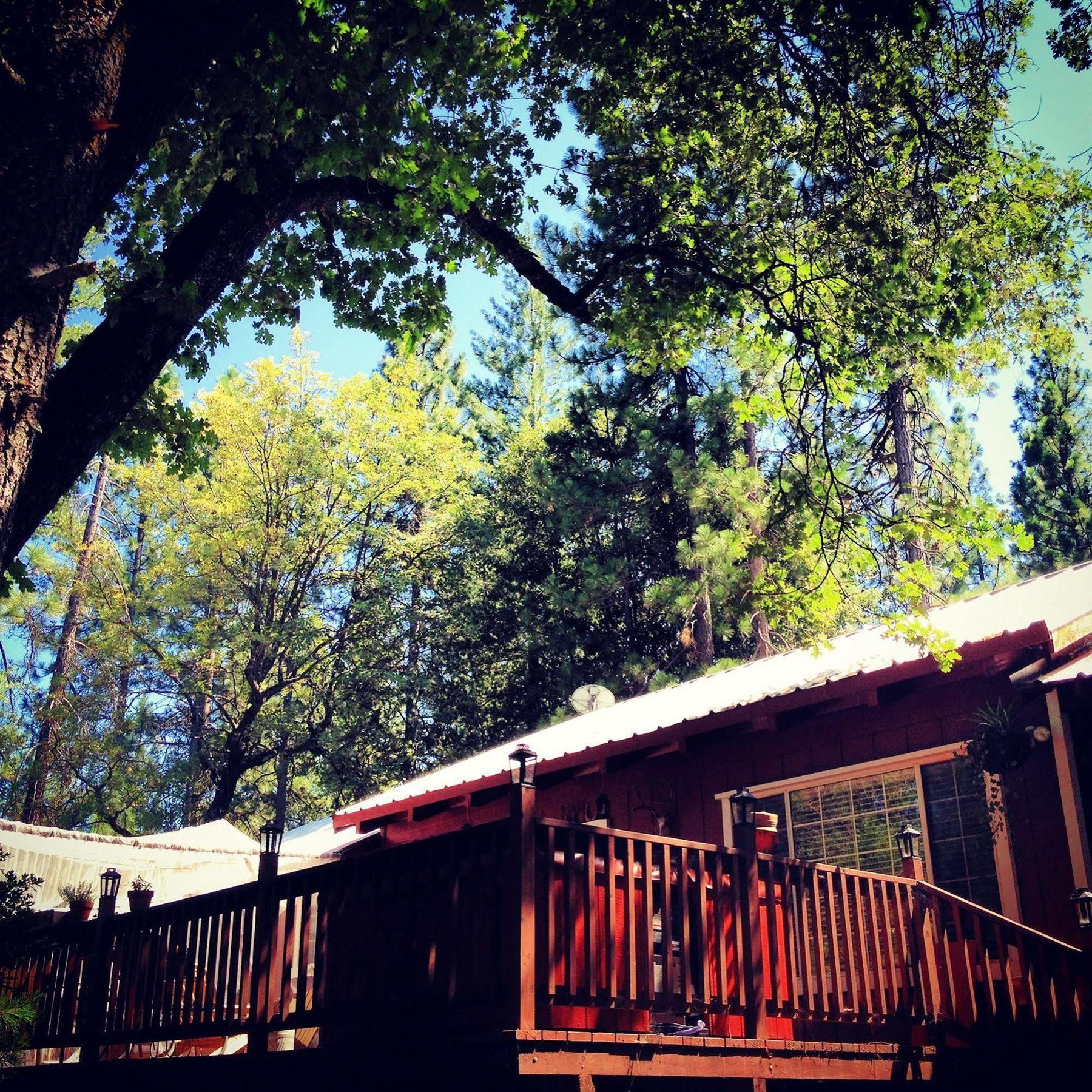 The Red Rooster Lodge คอลเทอร์วิลล์ ภายนอก รูปภาพ